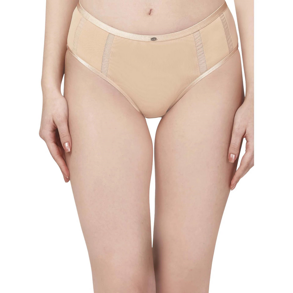 SOIE PANTY HIGH WAIST FULL COVERAGE MESH PANELLED BRIEF PANTY