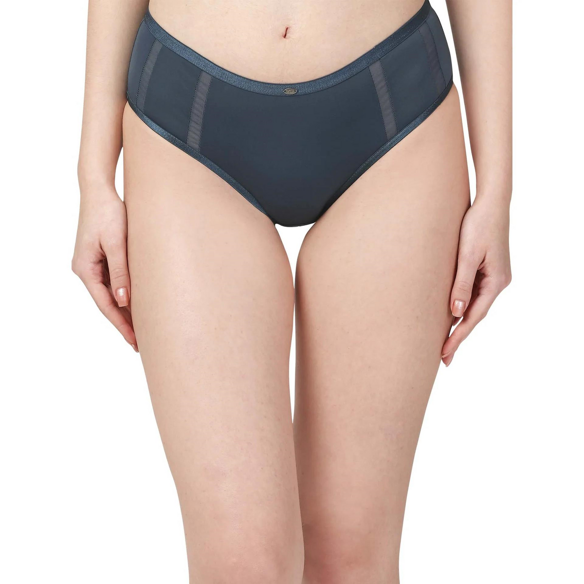 SOIE PANTY HIGH WAIST FULL COVERAGE MESH PANELLED BRIEF PANTY